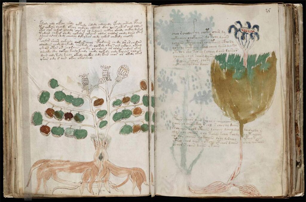 Manuscrito Voynich - 1