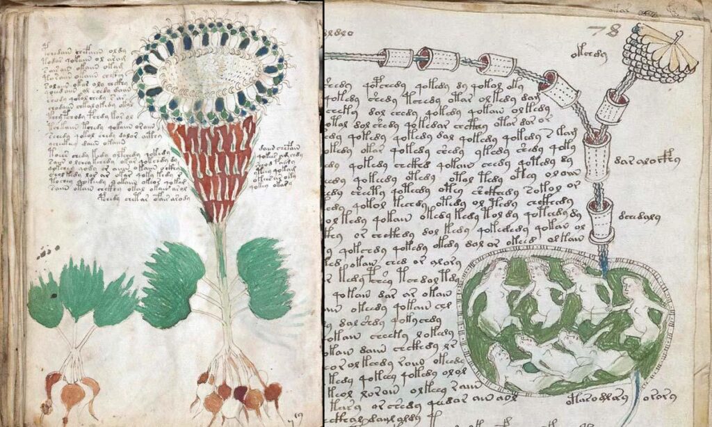 Manuscrito Voynich - 2